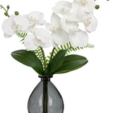 White Orchids Artificial Flowers Faux Orchid in Glass Vase Real Touch Small Phalaenopsis Orchid Flowers