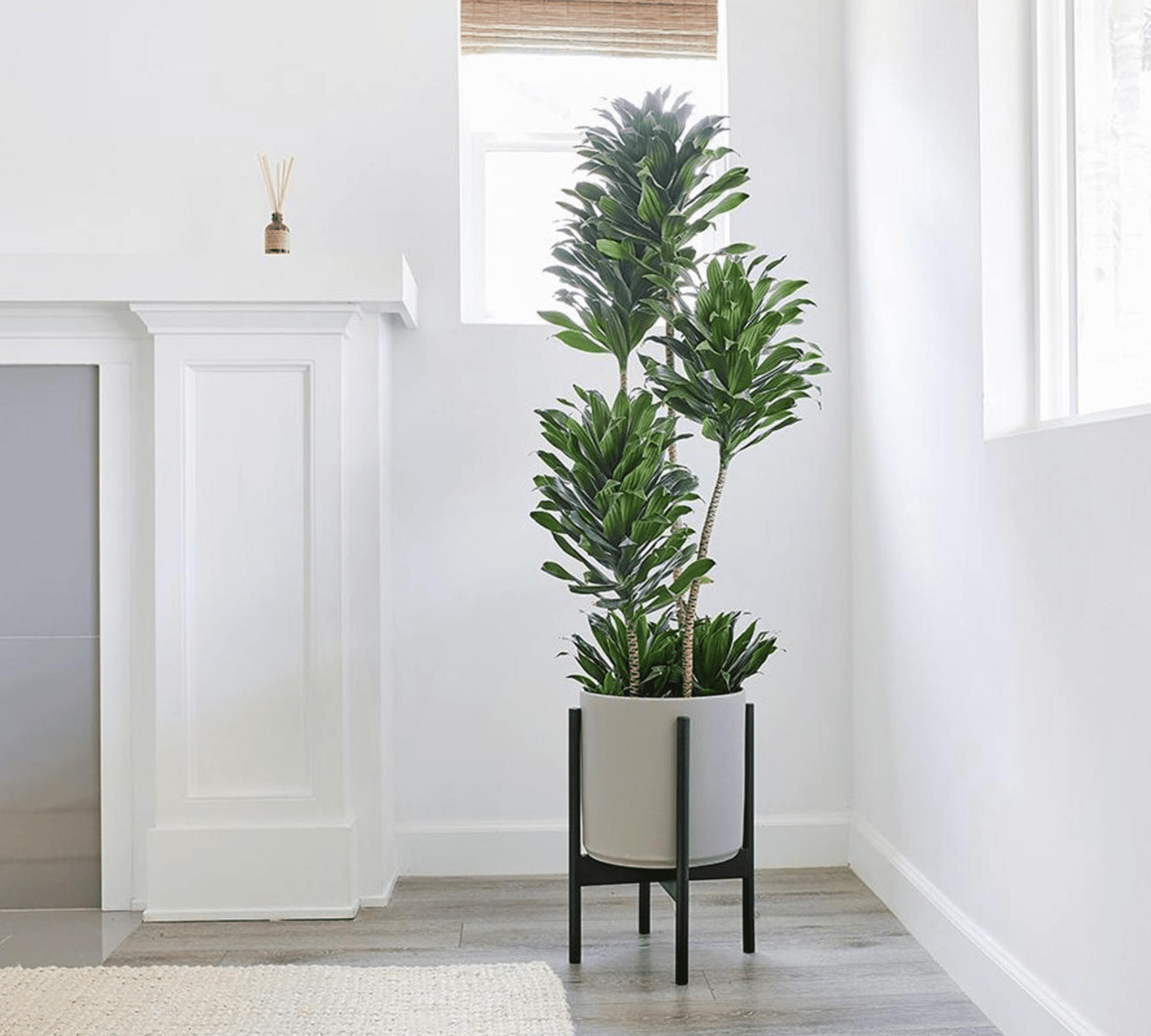 Beat the Heat: Faux Plants for a Cool, Summer-Ready Home