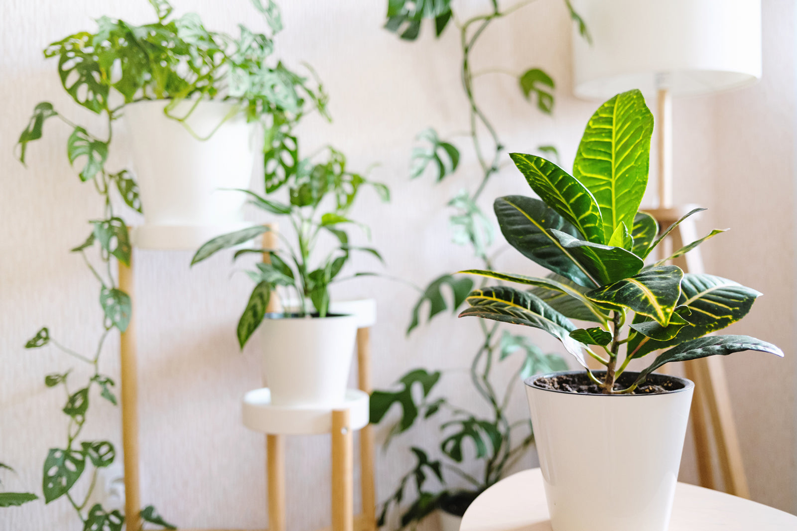 Artificial Potted Plants