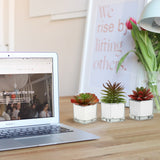Small Succulents Plants Artificial Set of 3 Faux Succulents in Pots Cute Mini Fake Plants with Silver Pot