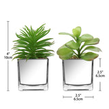 Small Artificial Succulents in Pots Set of 2 with Silver Pots