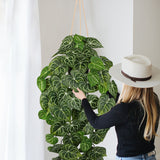 Artificial Hanging Begonia Vines Plants Fake Potted Plants with Hook