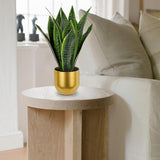 17" Artificial Snake Sansevieria Plant Potted in Gold Pot