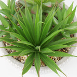 Small Fake Plants Assorted Faux Succulents in Pots Realistic Succulents Plants
