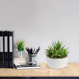 Small Fake Plants Assorted Faux Succulents in Pots Realistic Succulents Plants