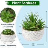 Small Fake Plants Assorted Faux Succulents in Pots Realistic Succulents Plants