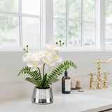 White Orchids Artificial Flowers in Silver Pot Faux Phaleanopsis Orchid Bonsia