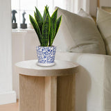 15.7" Artificial Snake Sansevieria Plant Potted in Blue and White Pot