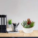 Small Fake Plants Assorted Faux Succulents in Pots