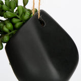 Artificial Hanging Plants Fake Hanging Plant 21" Long String of Pearls Plants