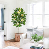 Yellow Artificial Plumeria Flowers Tree Potted with Black Pot - 4.17ft