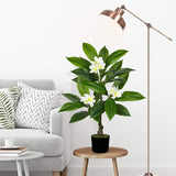 White Artificial Plumeria Flowers Tree Potted with Black Pot - 26.77''