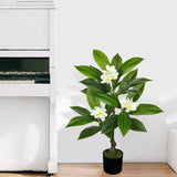 White Artificial Plumeria Flowers Tree Potted with Black Pot - 26.77''