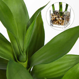 Artificial Lucky Bamboo Plant Potted in Rectangular Glass Pot - 17.3"