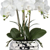 Faux Phalaenopsis Orchids Artificial Flowers with Silver Ceramic Pots - White