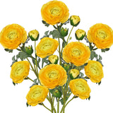 Yellow Ranunculus Artificial Flowers Bouquets Set of 5 25.9'' Long Stems
