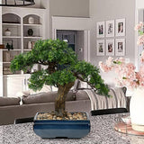 Artificial Bonsai Tree Juniper Potted with Blue Square Ceramic Pots