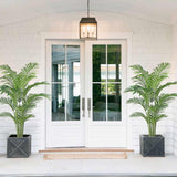 Artificial Palm Silk Tree Plant Tropical Bonsai Plants - 6ft, 2 Pack