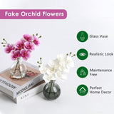 White Orchids Artificial Flowers Faux Orchid Arrangement with Black Glass Vase Set of 2