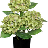 Artificial Hydrangea Silk Flowers Potted for Home Decor -  Green