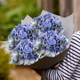 26" Artificial Blue Hydrangea Flowers -  6PCS