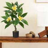 Yellow Artificial Plumeria Flowers Tree Potted with Black Pot - 26.77''
