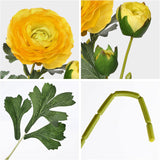 Yellow Ranunculus Artificial Flowers Bouquets Set of 5 25.9'' Long Stems