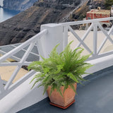 Boston Fern Plants Large Fake Greenery Shrubs 2 Pcs Faux Plant Bushes