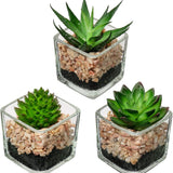 Set of 3 Succulents Plants Artificial in Glass Pots