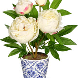 Artificial Peony Silk Flowers Potted with Blue and White Ceramic Pot - White