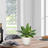 Artificial Snake Plants 9" Faux Agave Succulent Plant Potted in White Pot