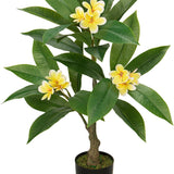 Yellow Artificial Plumeria Flowers Tree Potted with Black Pot - 26.77''