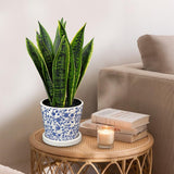 15.7" Artificial Snake Sansevieria Plant Potted in Blue and White Pot