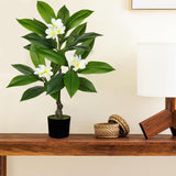 White Artificial Plumeria Flowers Tree Potted with Black Pot - 26.77''