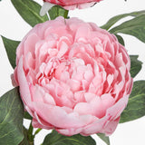 Pink Fake Peonies Artificial Flowers Potted for Home Decor