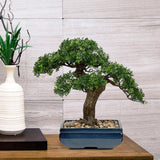 Artificial Bonsai Tree Juniper Potted with Blue Square Ceramic Pots