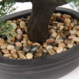 Artificial Bonsai Tree Juniper Faux Plants Indoor Small Fake Plants Decor with Ceramic Pots