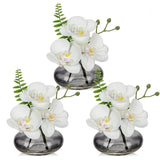 White Orchids Artificial Flowers with Black Glass Vases - Set of 3