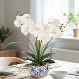 White Orchids Artificial Flowers with Blue and White Pot - 17.7"