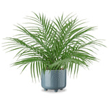 Artificial Palm Tree Tropical Potted Plant with Blue Ceramic Pots - 16"
