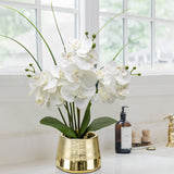 Artificial White Phalaenopsis Orchid Flower Arrangements Faux Orchid Flower