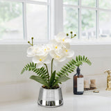 White Orchids Artificial Flowers in Silver Pot Faux Phaleanopsis Orchid Bonsia