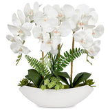White Artificial Orchid Flowers Faux Silk Flowers with Black Pot - 17in