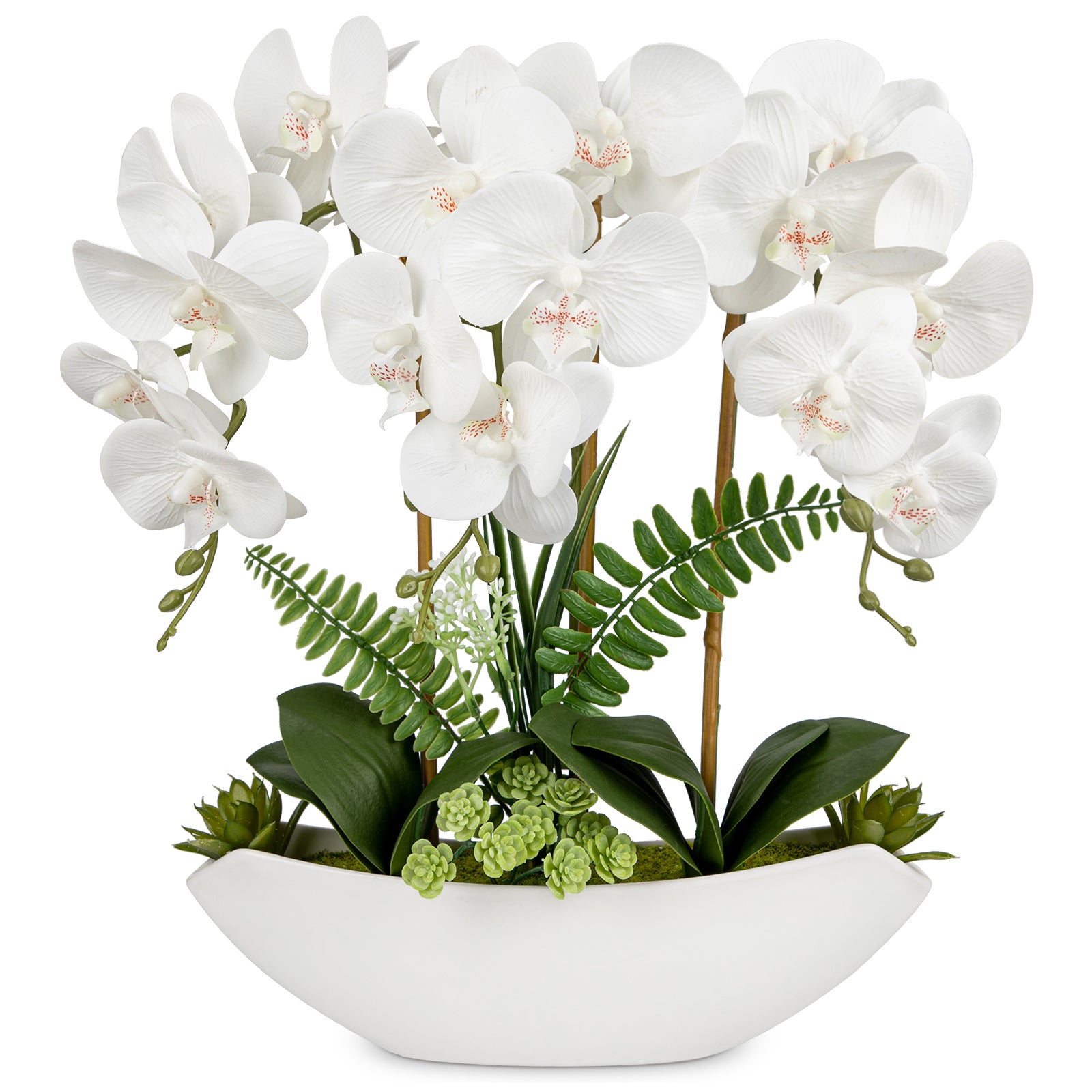 White Artificial Orchid Flowers Faux Silk Flowers with Black Pot - 17in