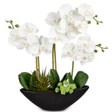 White Artificial Orchid Flowers Faux Silk Flowers with Black Pot - 17in