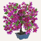 Purple Artificial Bougainvillea Flowers Tree Bonsai - 18.5"
