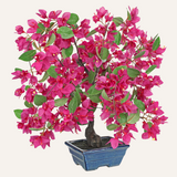 Red Artificial Bougainvillea Flowers Tree Bonsai - 18.5"