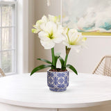 Artificial Amaryllis Flowers Bulbs Moss Potted with Blue Ceramic Pot - White