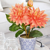 Orange Artificial Silk Dahlia Flower Potted with Blue and White Ceramic Pot