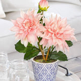 Pink Artificial Silk Dahlia Flower Potted with Blue and White Ceramic Pot